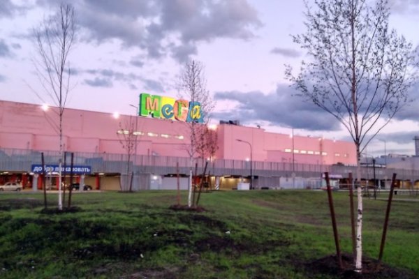 Сайт кракен через тор